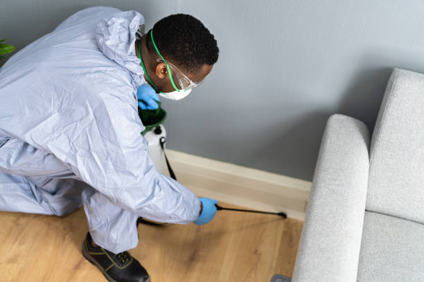 Best Residential Pest Control  in Millbrook, NY